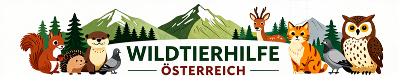 Wildtierhilfe Österreich